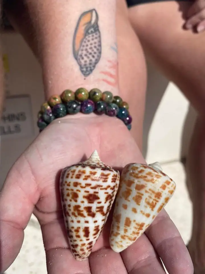 Embark On A Shelling Adventure: Sanibel Islands Treasures Await