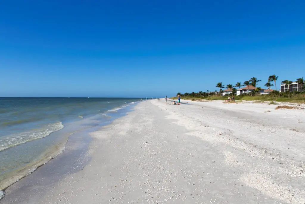 Explore The Rich Wildlife At Sanibel Island Wildlife Refuge