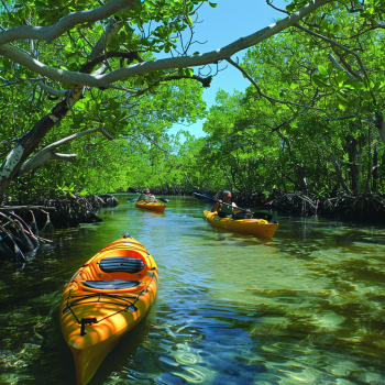 Unique Outdoor Adventures on Sanibel Island!